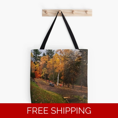 Le Studio Tote Bag October 2019 fall